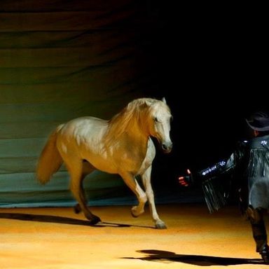 O Sonho do Cowboy photo 24