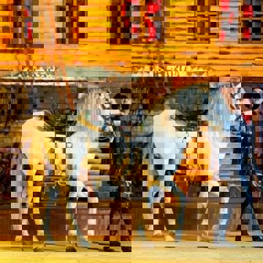 O Sonho do Cowboy photo 15