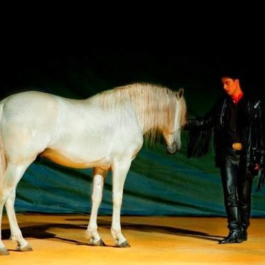 O Sonho do Cowboy photo 23