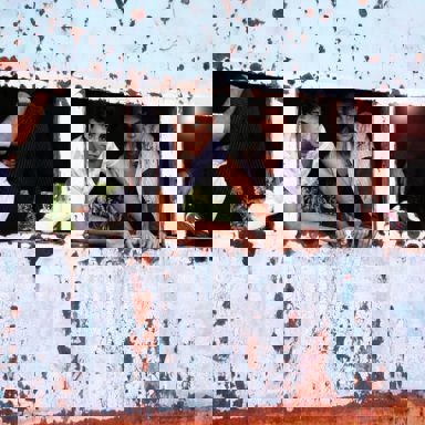 Ong Mineira photo 18