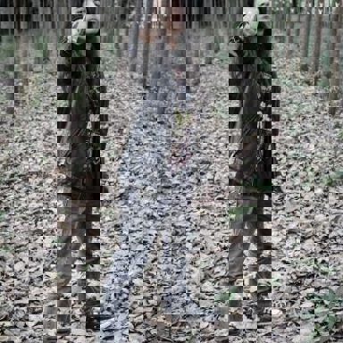 Order Of Destruction