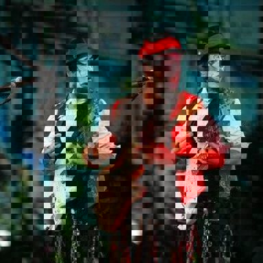 O Teatro Mágico photo 11