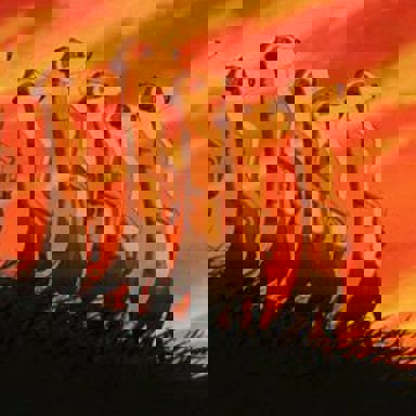 O Rei Leão (The Lion King)