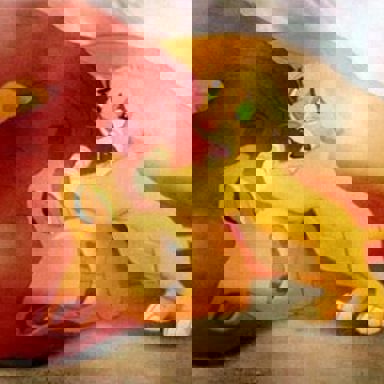 O Rei Leão (The Lion King)