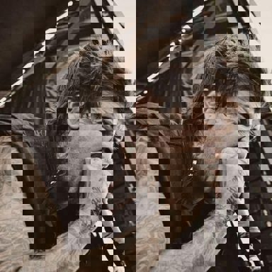 Of Mice & Men photo 10