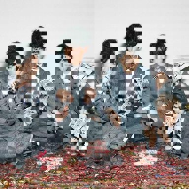 Official HIGE DANdism