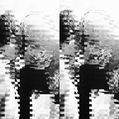 Oliver Sykes photo 15