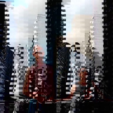 Os The Darma Lóvers