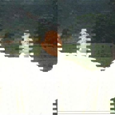 Padre Carlos Henrique