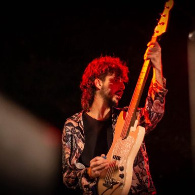 Pangarés Selvagens photo 14