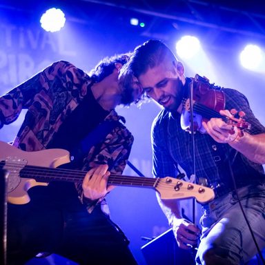 Pangarés Selvagens photo 12