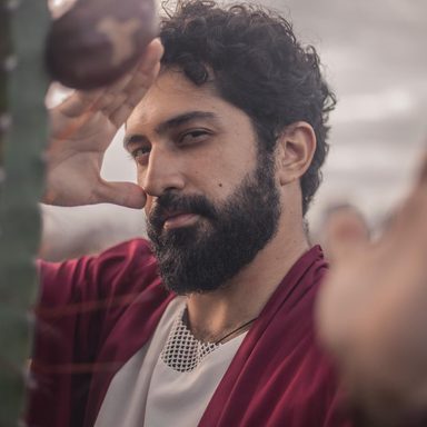Pedro Falcão