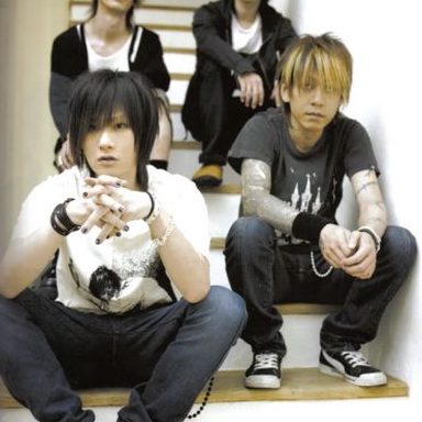 Plastic Tree photo 13