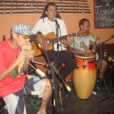 Projeto CaduRaiz