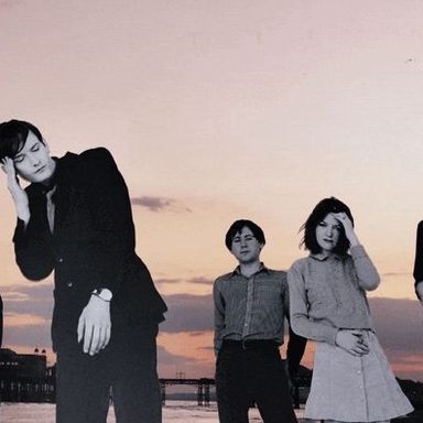 Pulp
