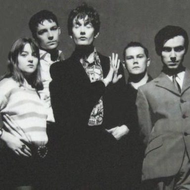 Pulp