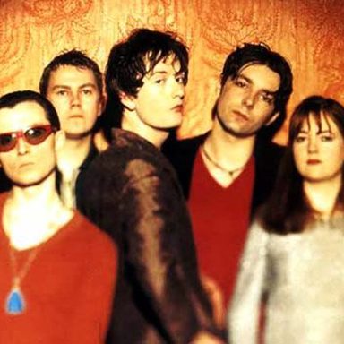Pulp
