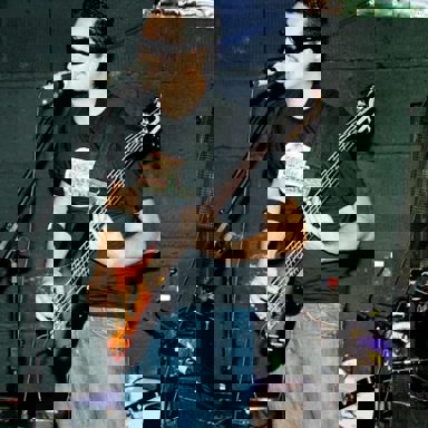 Os Pinguins do Deserto