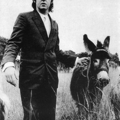 Paul McCartney photo 40