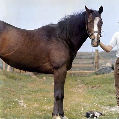 Paul McCartney photo 59