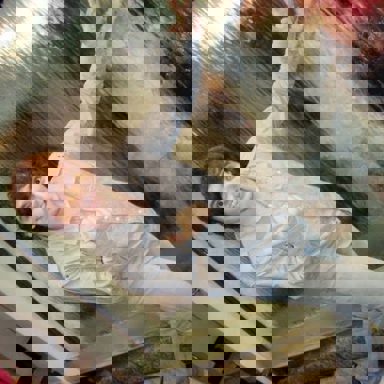 Raphael Mena photo 18