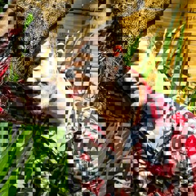 Raphael Mena photo 10