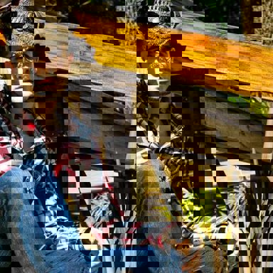 Raphael Mena photo 9