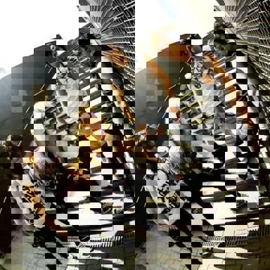 Reckless Love photo 13