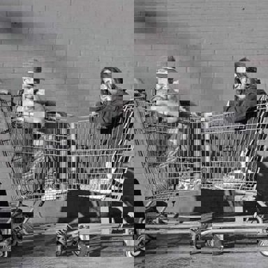 Red Hot Chili Peppers photo 16