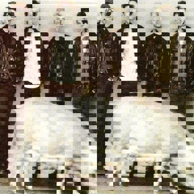 Red Lorry Yellow Lorry