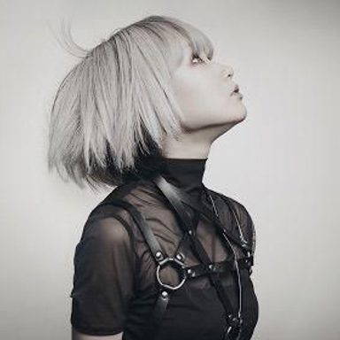 Reol photo 14