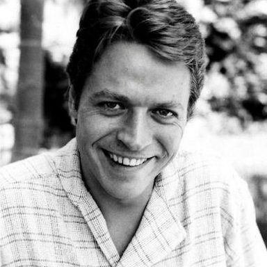Robert Palmer