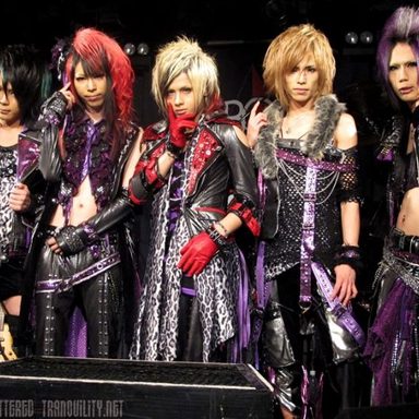 Royz photo 14