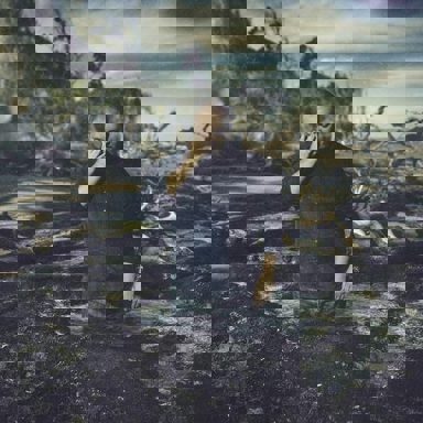 Radical Face photo 16