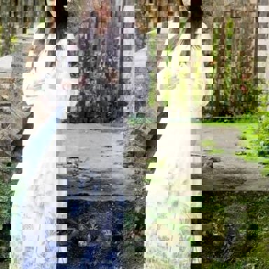 Rafaela Pinho photo 16