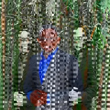 Rafael Ramírez photo 15