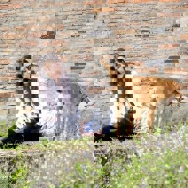 Rafaela Pinho photo 18