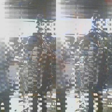 Raimundinho do Acordeon photo 16