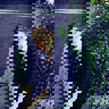 Regina Spektor photo 18