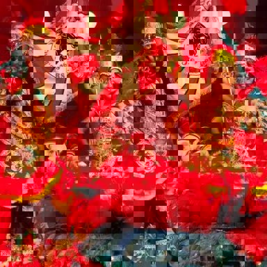 S.C.B Acadêmicos De Gravataí photo 9