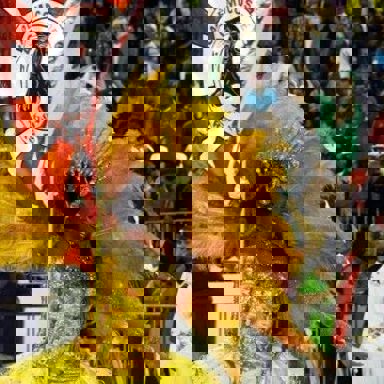 S.C.B Acadêmicos De Gravataí photo 11