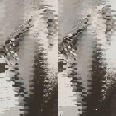 Sam Oliveira photo 14