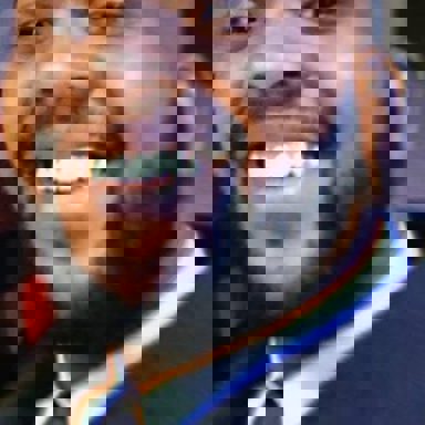 Sam Oliveira photo 15