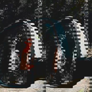 Samuel Seccati photo 16