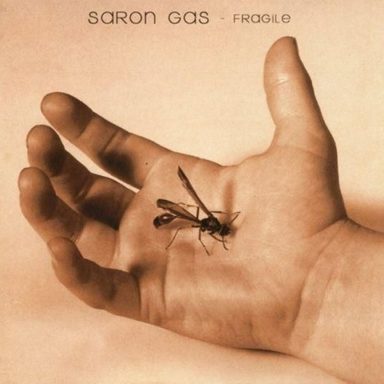 Saron Gas