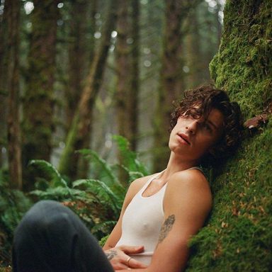 Shawn Mendes photo 37