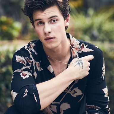 Shawn Mendes photo 48