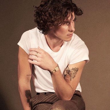 Shawn Mendes photo 34