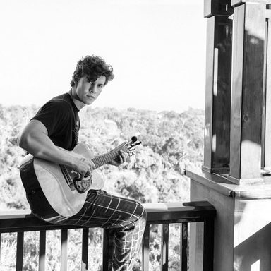 Shawn Mendes photo 19