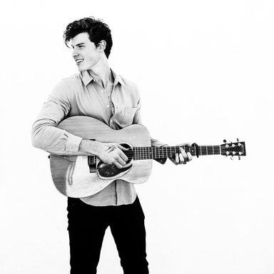 Shawn Mendes photo 31